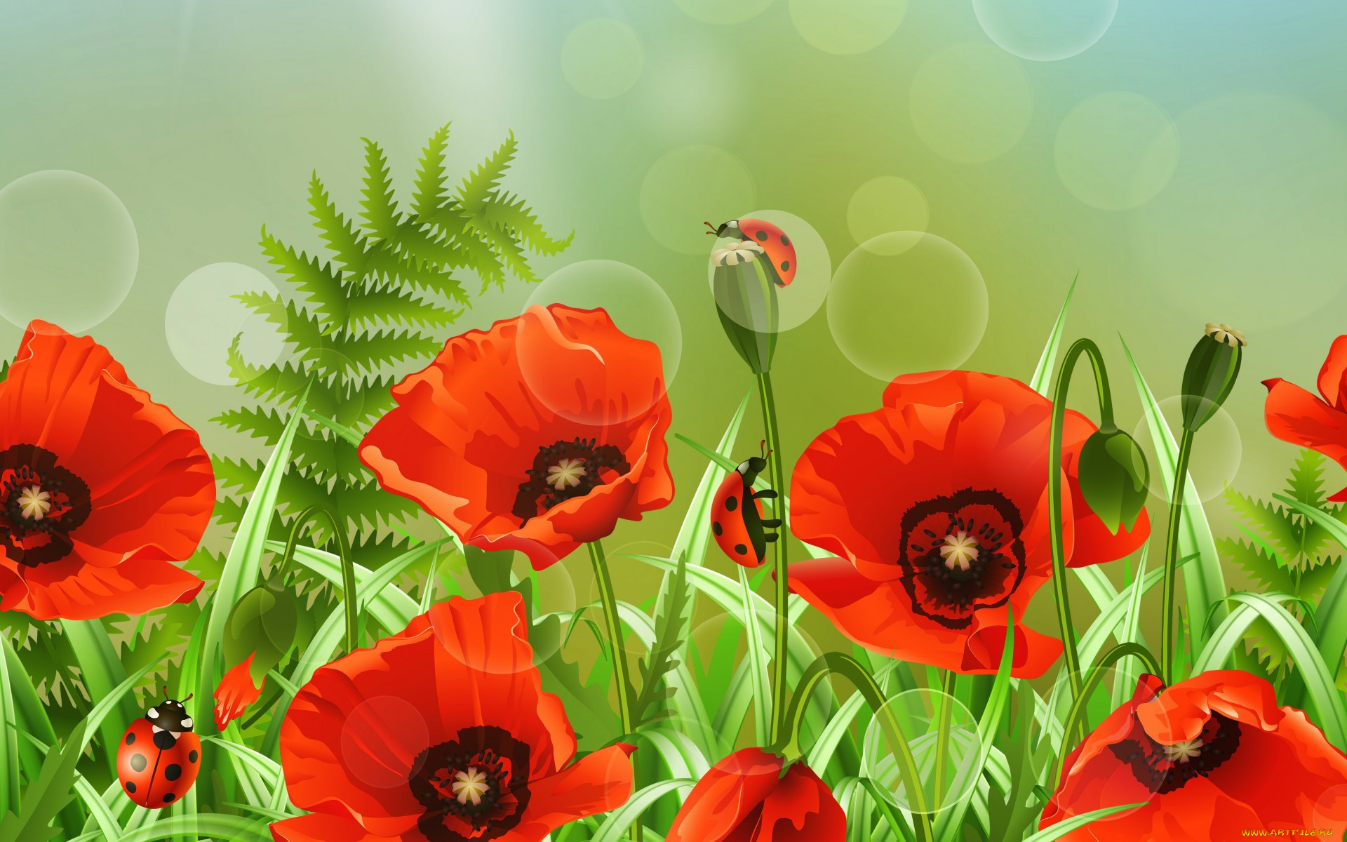  ,  , flowers, , , , , , 